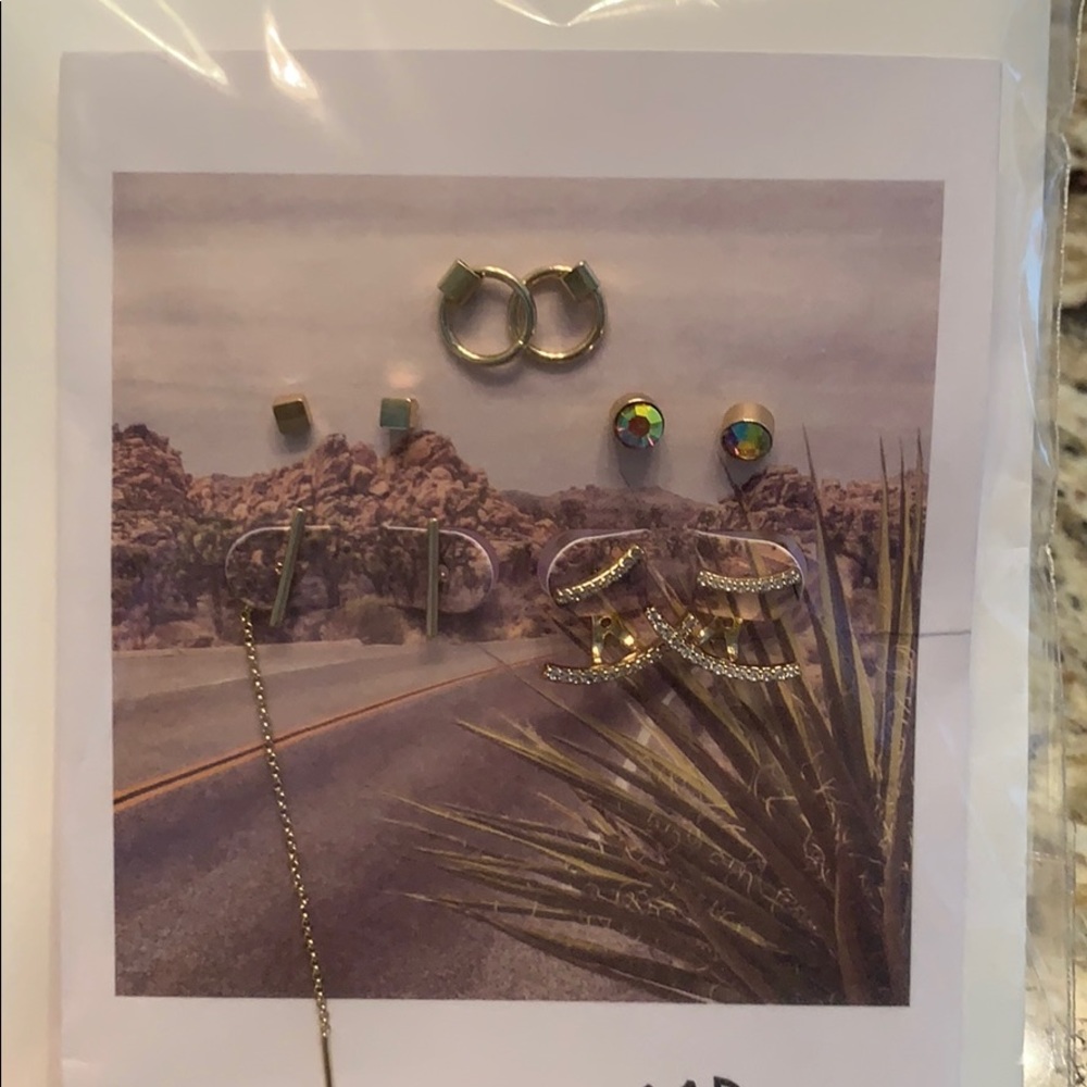 Earrings